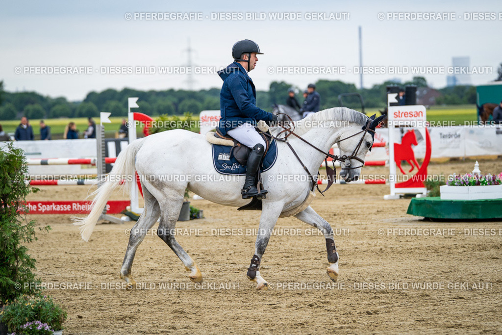 DSC05840 | Pferdegrafie