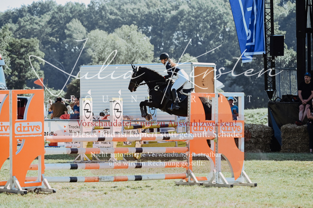 DSC_5773 | Pferde- und Turnierfotografie in Westsachsen. Pferdeportraits, Auftragszeichnungen und intuitive Kunst.