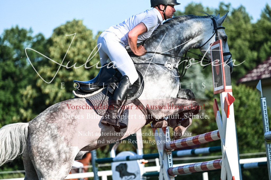 DSC_3149 | Pferde- und Turnierfotografie in Westsachsen. Pferdeportraits, Auftragszeichnungen und intuitive Kunst.
