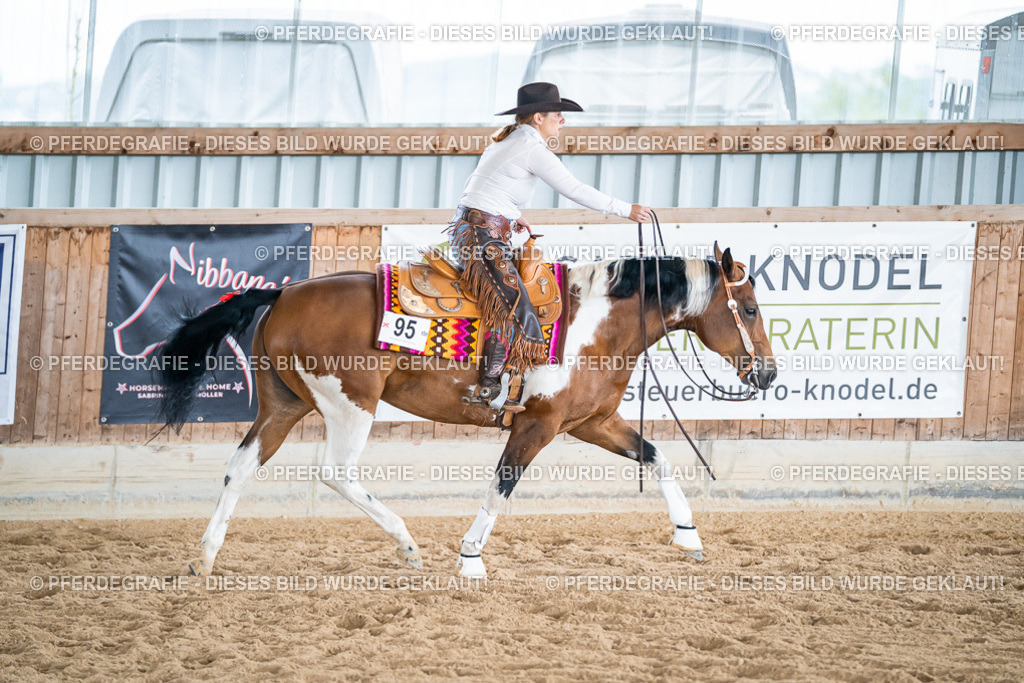 DSC03881 | Pferdegrafie