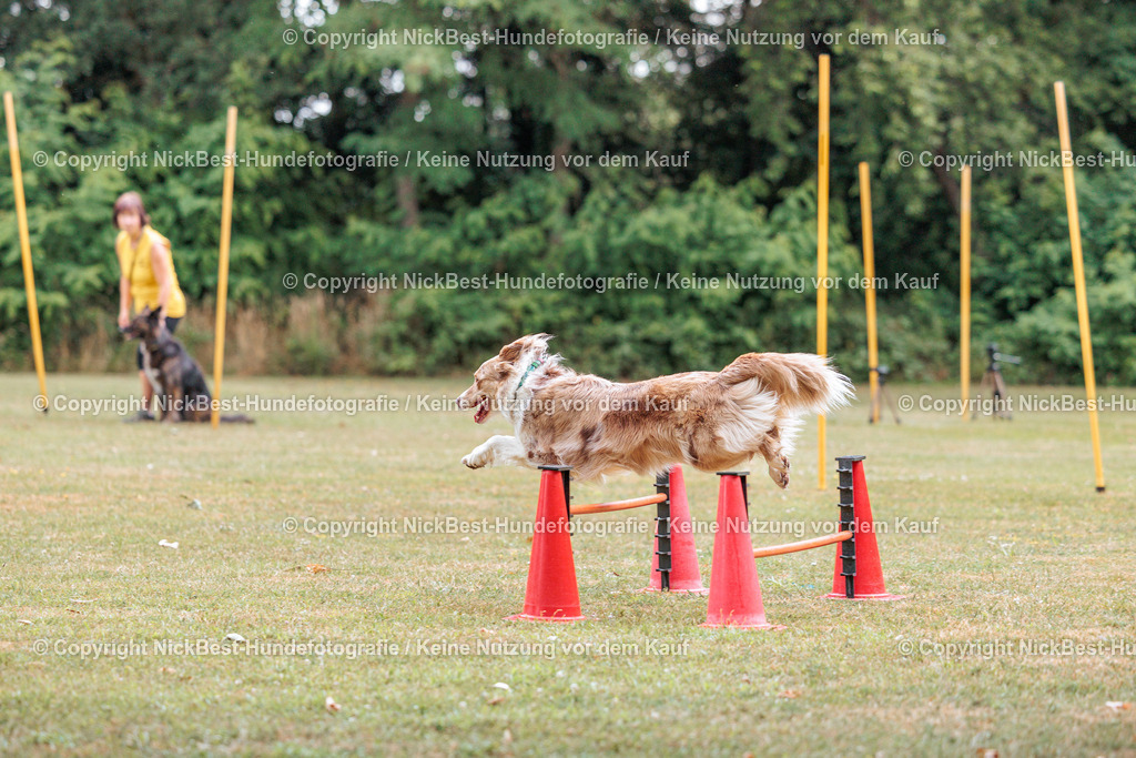 THS-Quakenbrück-2026-Nickbest-Hundefotografie-5294 | Dein Hund! Dein Moment! Deine Erinnerungen! Hundefotografie in Bremen Blumenthal. Ich fange die besonderen Momente deines Vierbeiners ein – ob Indoor mit Blitzanlage oder in der freien Natur. Sicher dir dein Moment und dein Termin für eure Erinnerungen.
