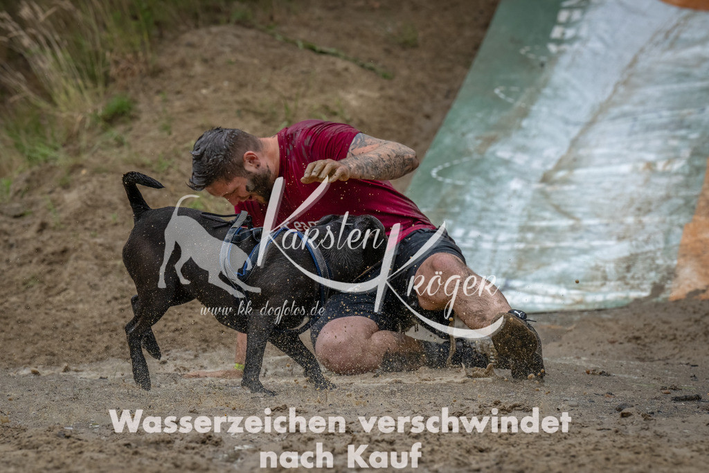 1618_ZZ90741-Bearbeitet | kk-dogfotos