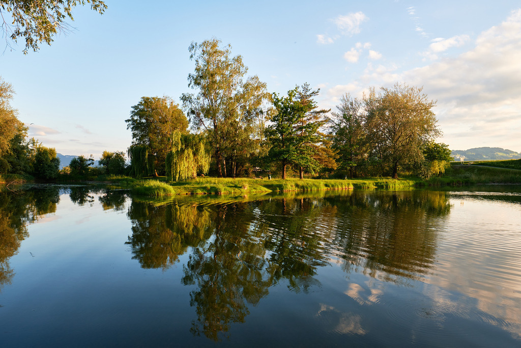 Uferlandschaft Schleienloch im Abendlicht | Hard, Vorarlberg - May 26, 2022: Uferlandschaft Schleienloch im Abendlicht. - Realisiert mit Pictrs.com