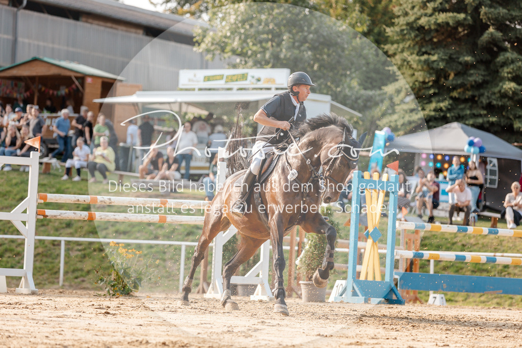 3I6A5276 | Stimmungsvolle Portraits und Reitsportfotografie im Ruhrgebiet und im Münsterland.

Pferdefotografie, Hundefotografie, Tierfotografie, Reportagen, Portraits von Tier und Mensch, Turnierfotografie in Bochum, Recklinghausen, Marl, Haltern am See, Dülmen.. - Realisiert mit Pictrs.com