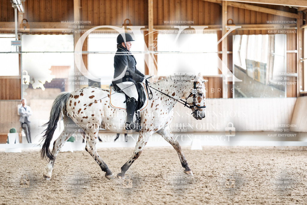 CK901214 | Turnierfotografie Pferdefotografie Trier Rheinland-Pfalz Pferdesport Reitsport Tierfotografie Sportfotografie Pferdevideo Pferdevideografie Equestrianvideography equestrianphotography  - Realisiert mit Pictrs.com