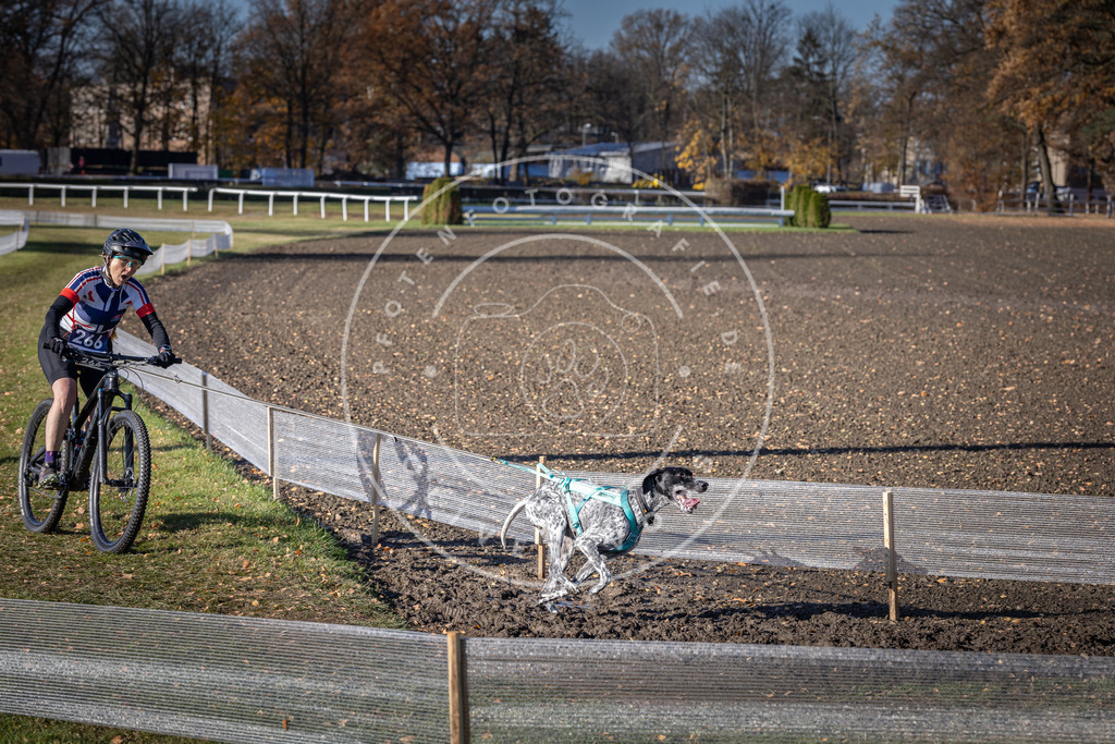 CaniXpix_DV3A5054 | Hundefotografie, Tierfotograf, Pfotenfotografie, Fotoshooting Hund, Hunde Portrait, Hundesport, Hundeportraits, Heideshooting, Hunde, Sportfotograf, Hundefotograf, Turnierhundsport, THS,  - Realisiert mit Pictrs.com