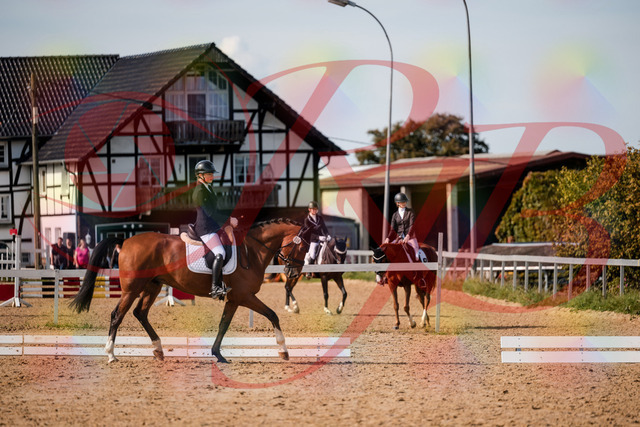 2026_10_03_Siefer-Hof_131529_Z63_77009956 | Professionelle Reitsport-, Turnier- und Eventfotografie von Robert Broda. Galerien mit ausgewählten und bearbeiteten Bildern direkt online ansehen und bestellen.