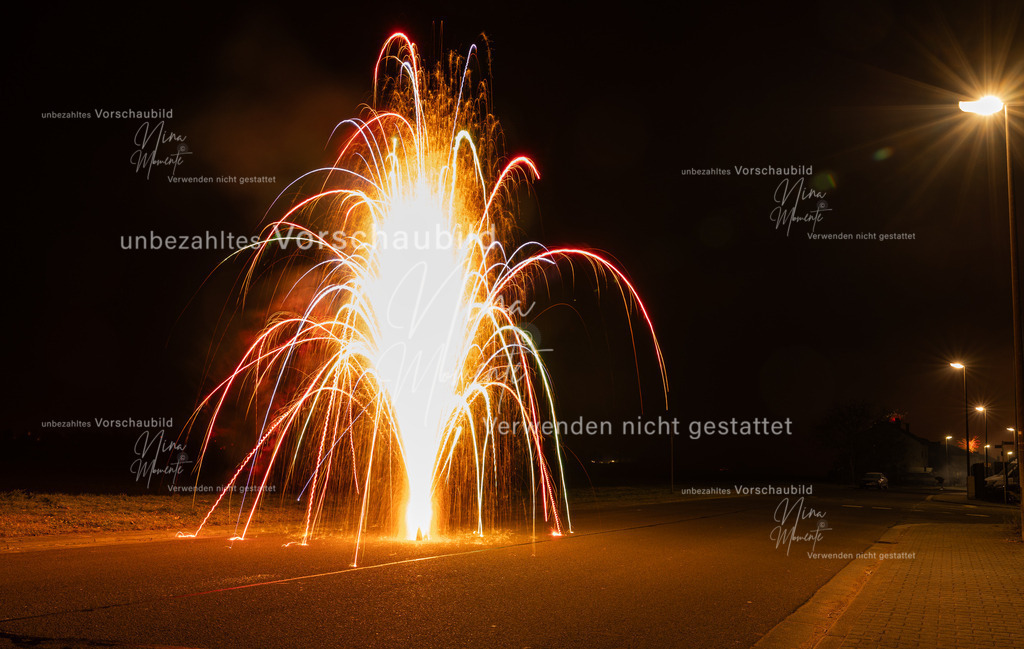 _16A2195-1 | Einzigartige Fotos von Hunden & Menschen –Actionfotos, Portraits, Vereinsaufnahmen & Paarshootings – authentisch, lebendig & mit Herz.