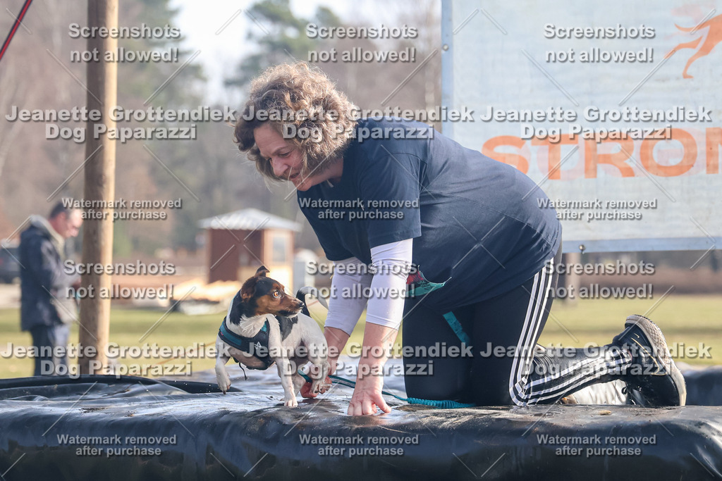 Dog Paparazzi - Strongdog North Mrz26-290 | Dog Paparazzi Jeanette Grottendiek Fotografie & Videografie - Realisiert mit Pictrs.com