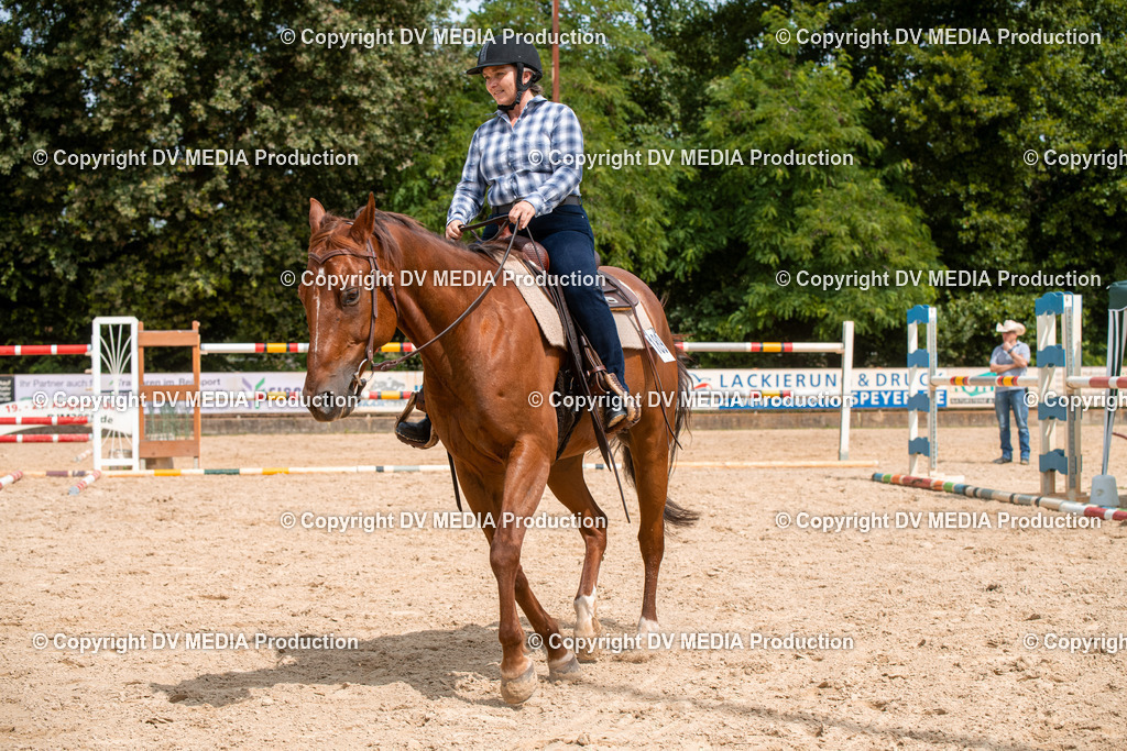 EWP_6119 | dv-media-shop - Realisiert mit Pictrs.com