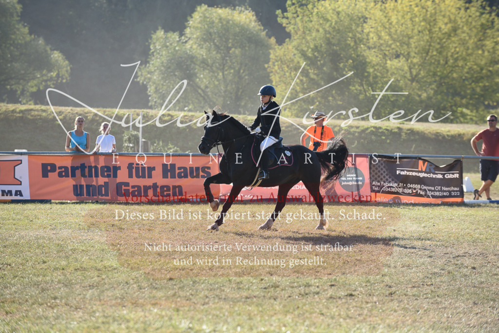 DSC_5533 | Pferde- und Turnierfotografie in Westsachsen. Pferdeportraits, Auftragszeichnungen und intuitive Kunst.