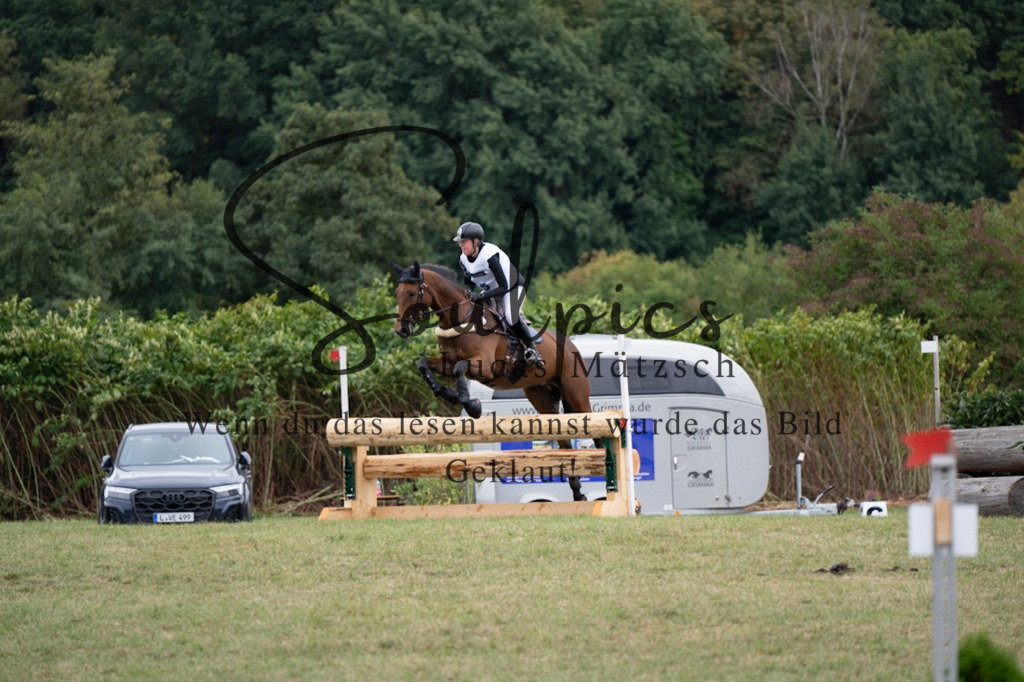 A7V00680 | Pferdefotograf