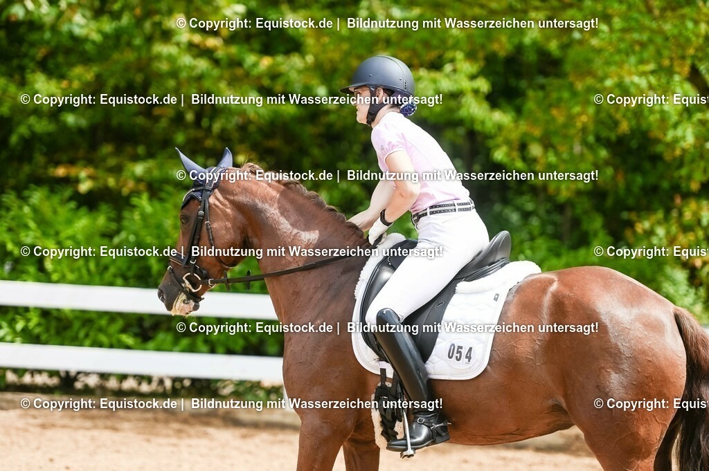 20230716_03_Dressurprfg. Kl.L - Tr._0246 | equistock