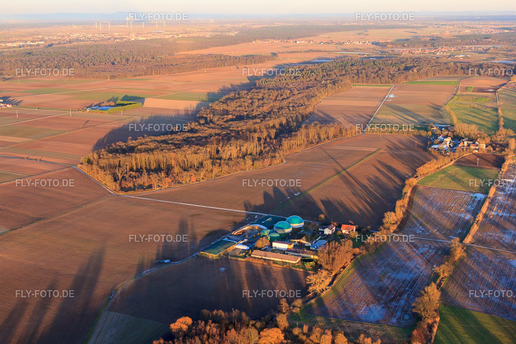 Biogasanlagen der Wagner GmbH http://wagner-steinweiler.com/ | Luftbild: Biogasanlagen der Wagner GmbH http://wagner-steinweiler.com/ in Steinweiler im Bundesland Rheinland-Pfalz in Deutschland. Foto: IMG_61963.jpg vom 28.01.2014 durch Werner Riehm/FLY-FOTO.de - Realisiert mit Pictrs.com