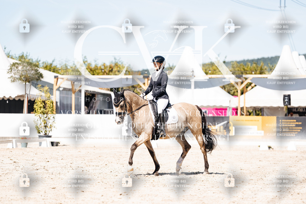 CK909878 | Turnierfotografie Pferdefotografie Trier Rheinland-Pfalz Pferdesport Reitsport Tierfotografie Sportfotografie Pferdevideo Pferdevideografie Equestrianvideography equestrianphotography  - Realisiert mit Pictrs.com