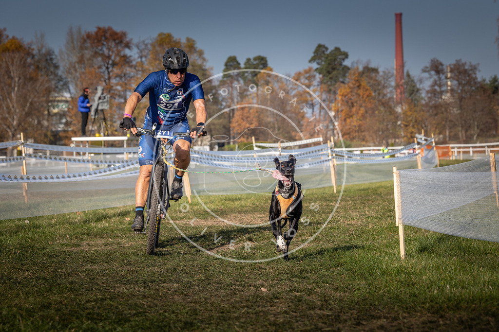 CaniXpix_0L8A7071 | Hundefotografie, Tierfotograf, Pfotenfotografie, Fotoshooting Hund, Hunde Portrait, Hundesport, Hundeportraits, Heideshooting, Hunde, Sportfotograf, Hundefotograf, Turnierhundsport, THS,  - Realisiert mit Pictrs.com