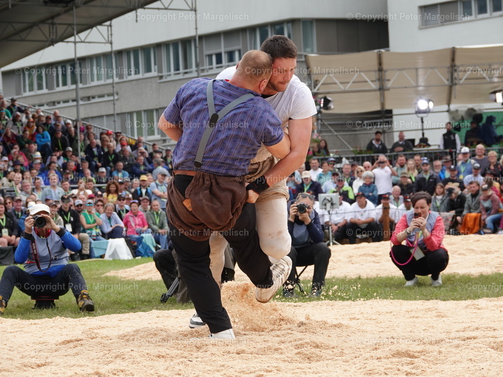 DSC08117 | Schwingen - Realisiert mit Pictrs.com