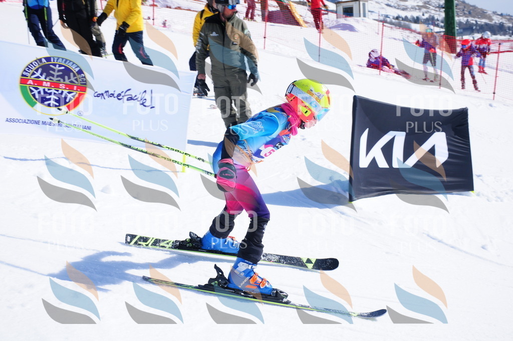 DSC_4296 | holidayphoto