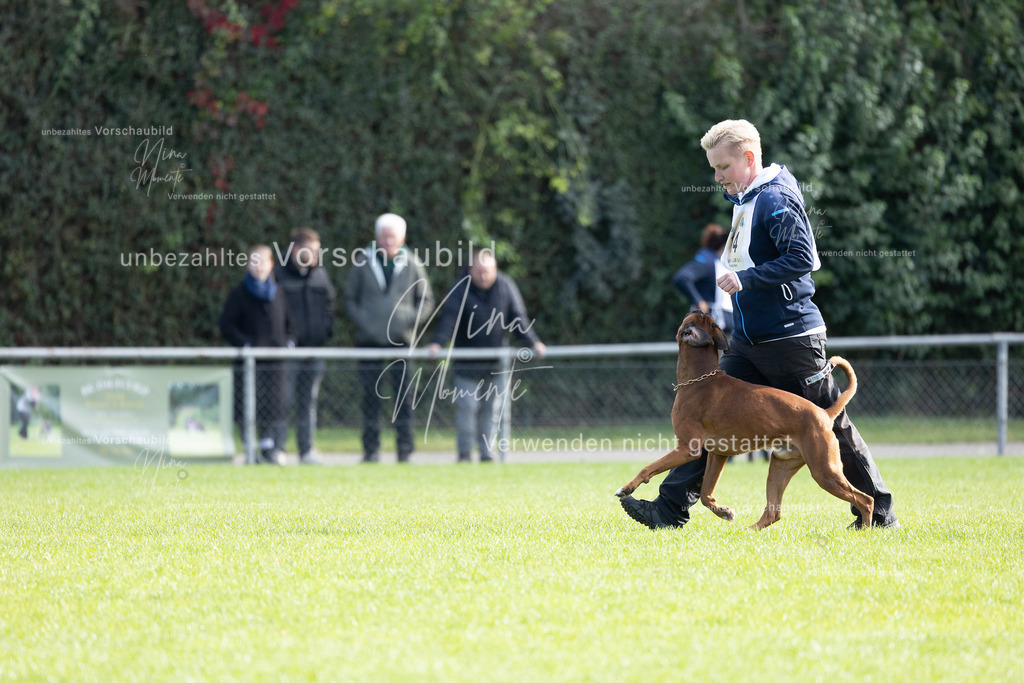_16A6791 | Einzigartige Fotos von Hunden & Menschen –Actionfotos, Portraits, Vereinsaufnahmen & Paarshootings – authentisch, lebendig & mit Herz.
