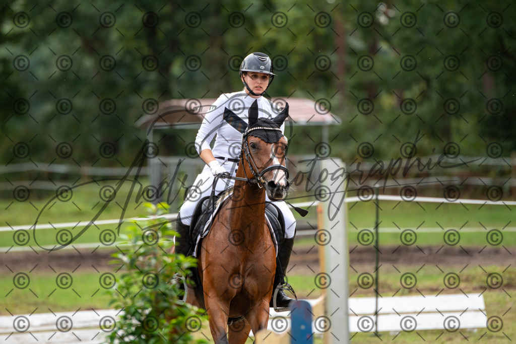 SHT_7616 | andre_photographic