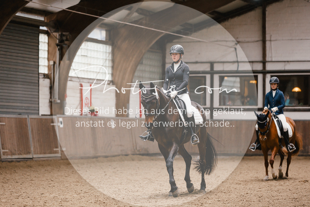3I6A7795 | Stimmungsvolle Portraits und Reitsportfotografie im Ruhrgebiet und im Münsterland.

Pferdefotografie, Hundefotografie, Tierfotografie, Reportagen, Portraits von Tier und Mensch, Turnierfotografie in Bochum, Recklinghausen, Marl, Haltern am See, Dülmen.. - Realisiert mit Pictrs.com