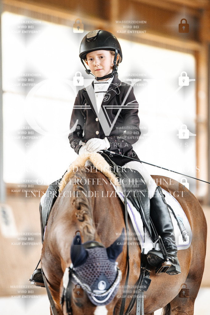CK901739 | Turnierfotografie Pferdefotografie Trier Rheinland-Pfalz Pferdesport Reitsport Tierfotografie Sportfotografie Pferdevideo Pferdevideografie Equestrianvideography equestrianphotography  - Realisiert mit Pictrs.com