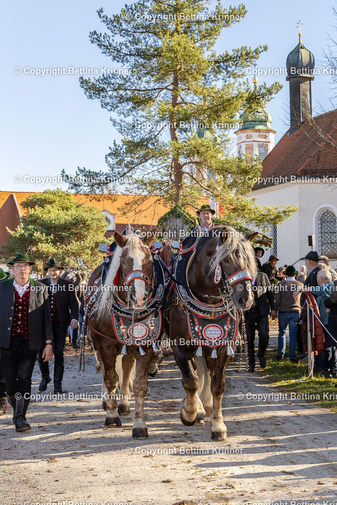 LBT25-1087 | foto-bettina-krinner - Realisiert mit Pictrs.com