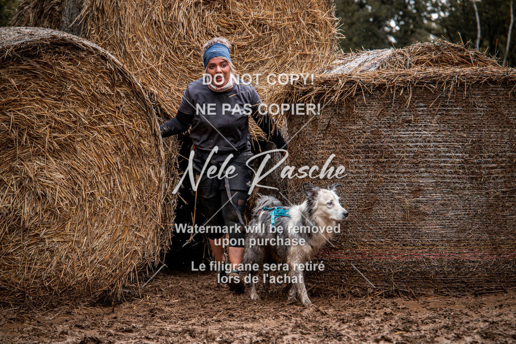 nelerasche_Hunsrück_So09-11_89 | nelerasche