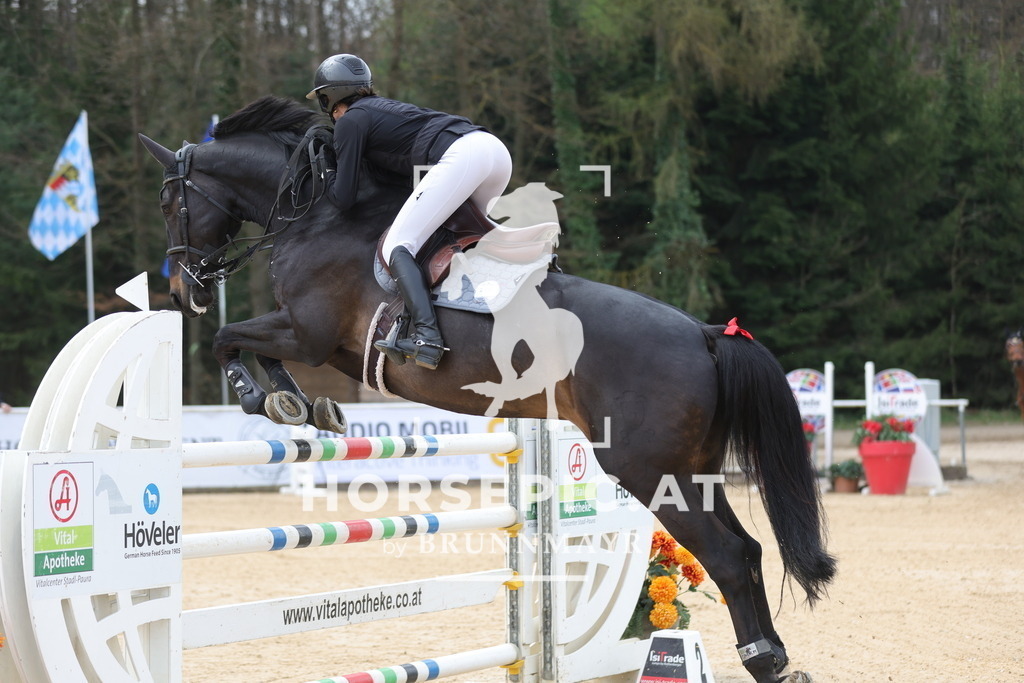 0P6A5324 | Willkommen bei Brunnmayr - Design & Fotografie – Ihrem Spezialisten für Reitturniere und Pferdeveranstaltungen in Oberösterreich, Salzburg und Bayern! Seit über 17 Jahren sind wir leidenschaftlich dabei.