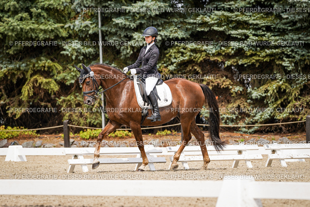 DSC03680 | Pferdegrafie