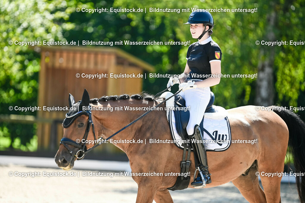 20230908_06_Dressur-L-Trense_0803 | equistock