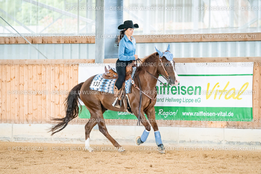 DSC00015 | Pferdegrafie