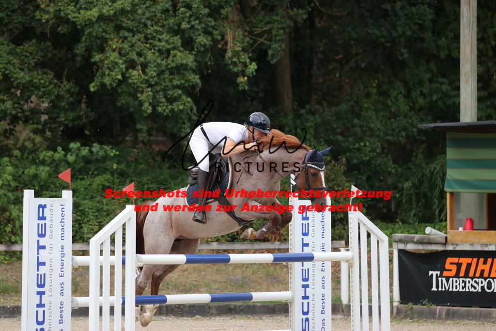 IMG_7870 | lmwpictures - Realisiert mit Pictrs.com