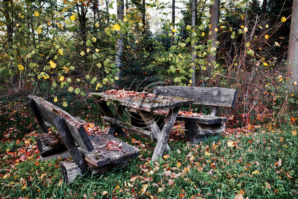 5X0A6137 | Frank Herberich Fotografie, Frank Herberich, Fotografie, Hochzeit, Portrait, St. Peter Ording, Ording, Westerhever, Nordsee, Frank Fotografie, Hardheim,  Odenwald,Walldürn, Band,Eventfotografie - Realisiert mit Pictrs.com