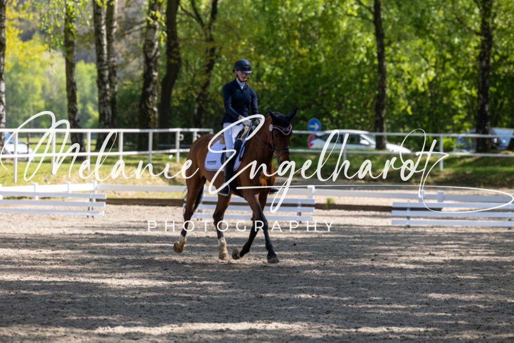 7I8A3153 | melanie-engelhardt-photography - Realisiert mit Pictrs.com