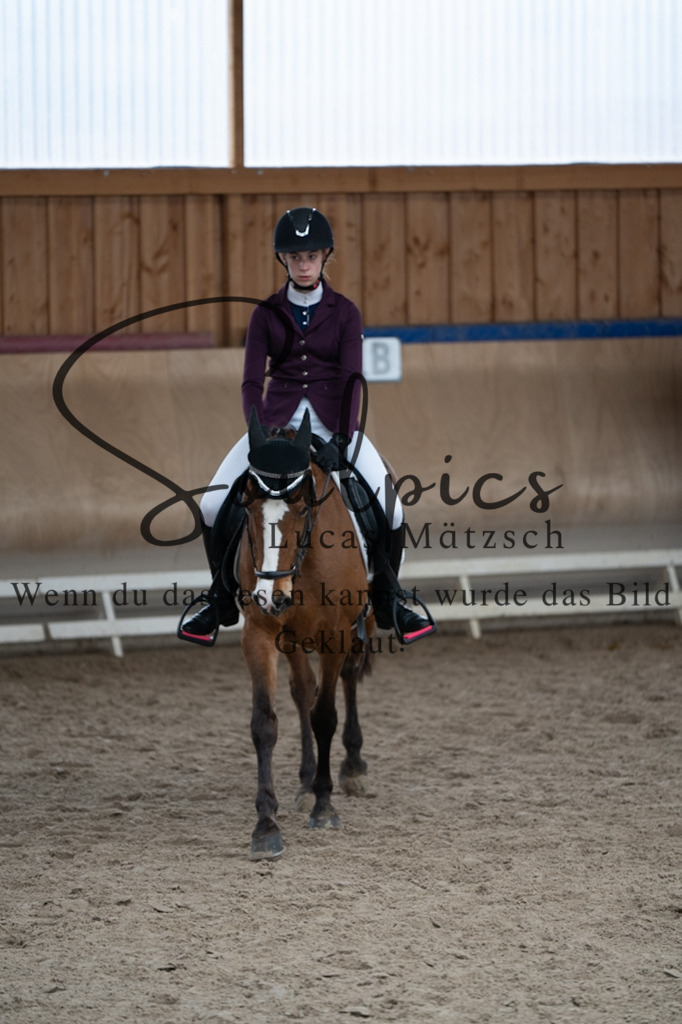 A7V09713 | Pferdefotograf