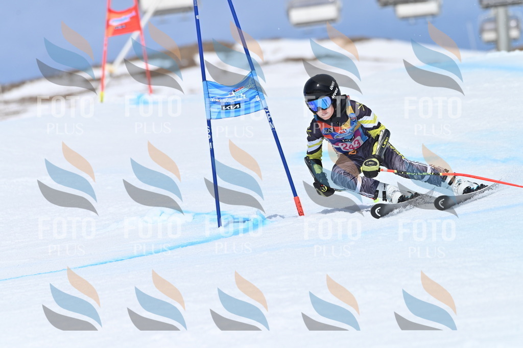 BGV_1756 | holidayphoto