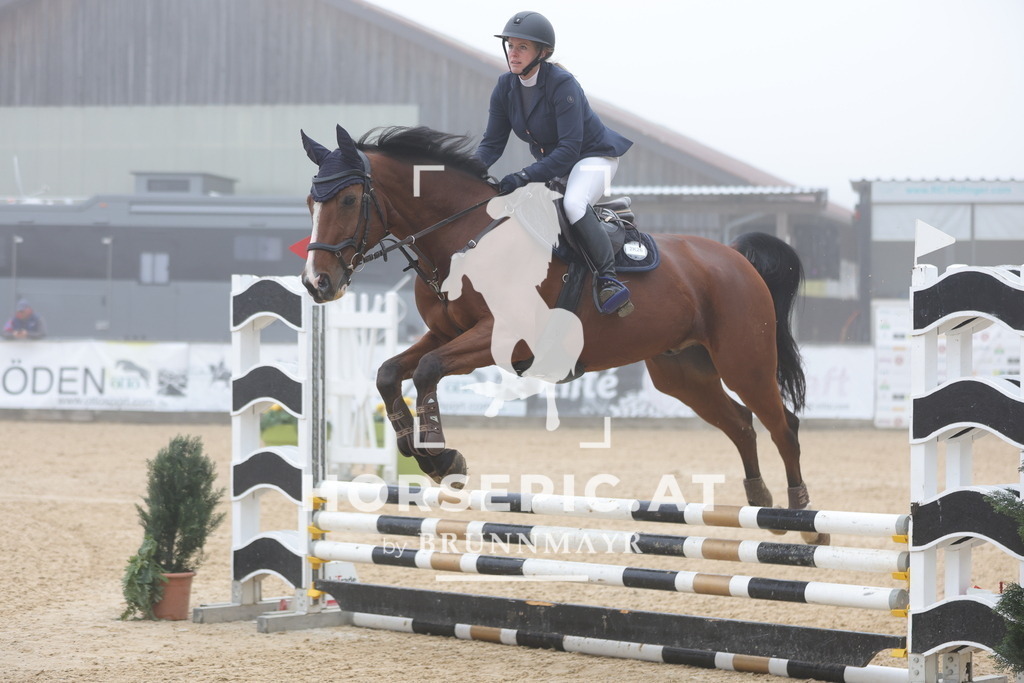 0P6A0433 | Willkommen bei Brunnmayr - Design & Fotografie – Ihrem Spezialisten für Reitturniere und Pferdeveranstaltungen in Oberösterreich, Salzburg und Bayern! Seit über 17 Jahren sind wir leidenschaftlich dabei.