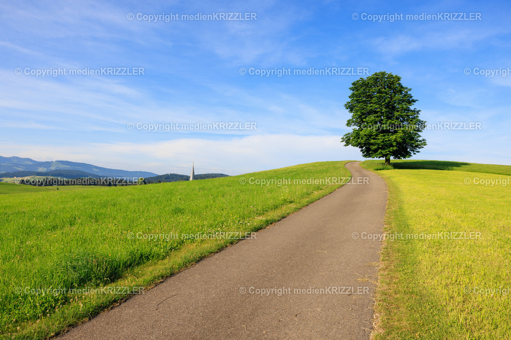 Stiefenhofen | medienkrizzler - Realisiert mit Pictrs.com