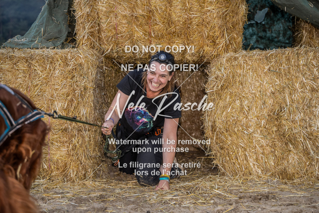 nelerasche_FrNacht_92 | nelerasche