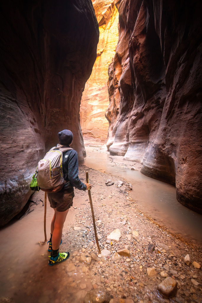 USA Zion 01 | christophschaarschmidt - Realisiert mit Pictrs.com