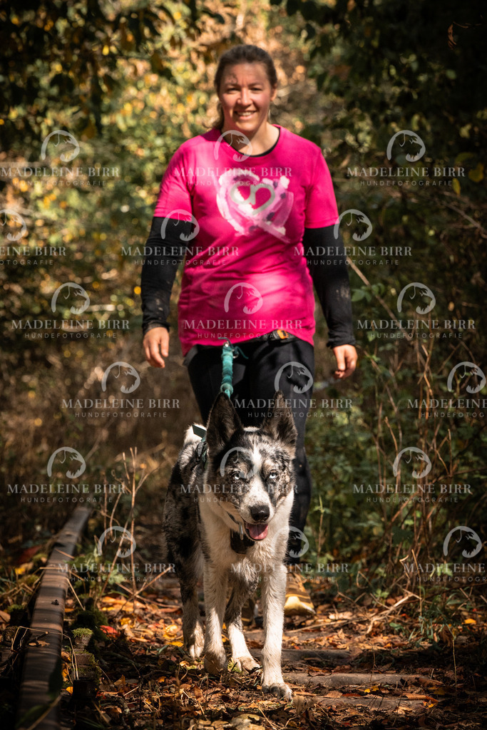 madeleinebirr.fotografie.2026.cc.hunsrueck.12-13Uhr.84 | hundefotografie-birr