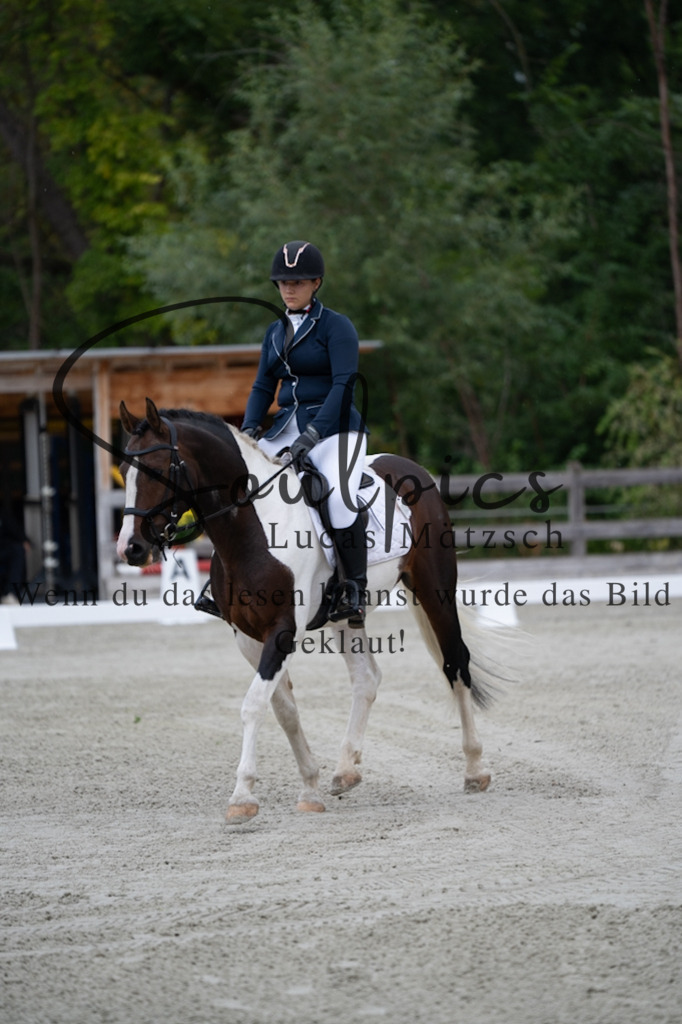 A7V06682 | Pferdefotograf