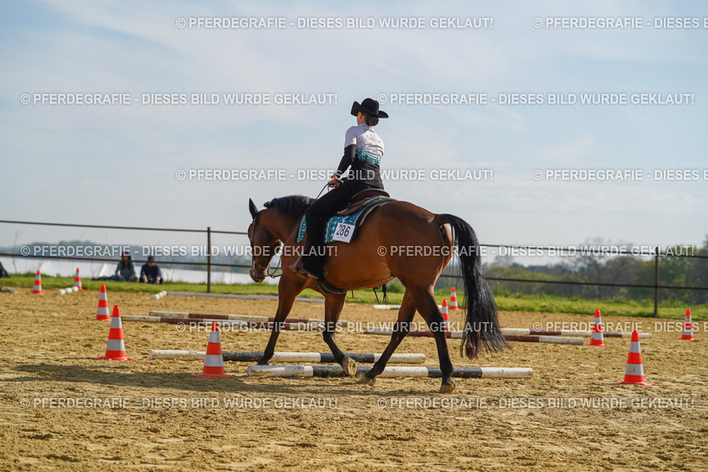 DSC01227 | Pferdegrafie