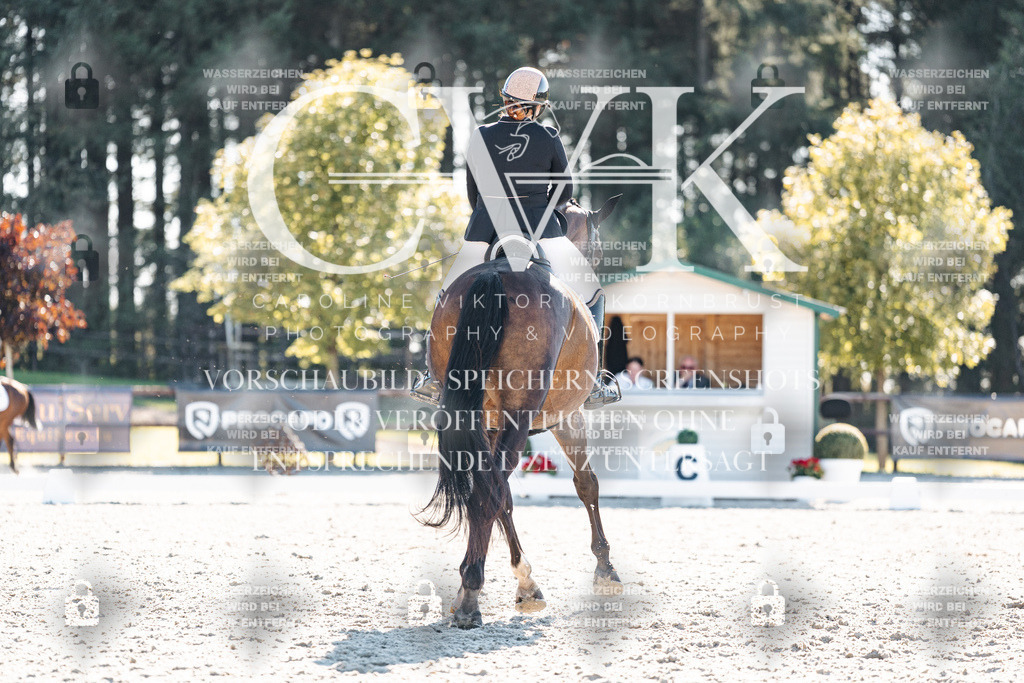 CK906115 | Turnierfotografie Pferdefotografie Trier Rheinland-Pfalz Pferdesport Reitsport Tierfotografie Sportfotografie Pferdevideo Pferdevideografie Equestrianvideography equestrianphotography  - Realisiert mit Pictrs.com