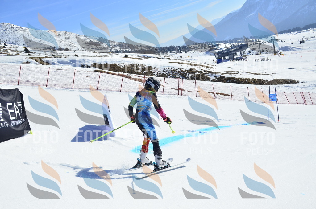 _ELE9738 | holidayphoto