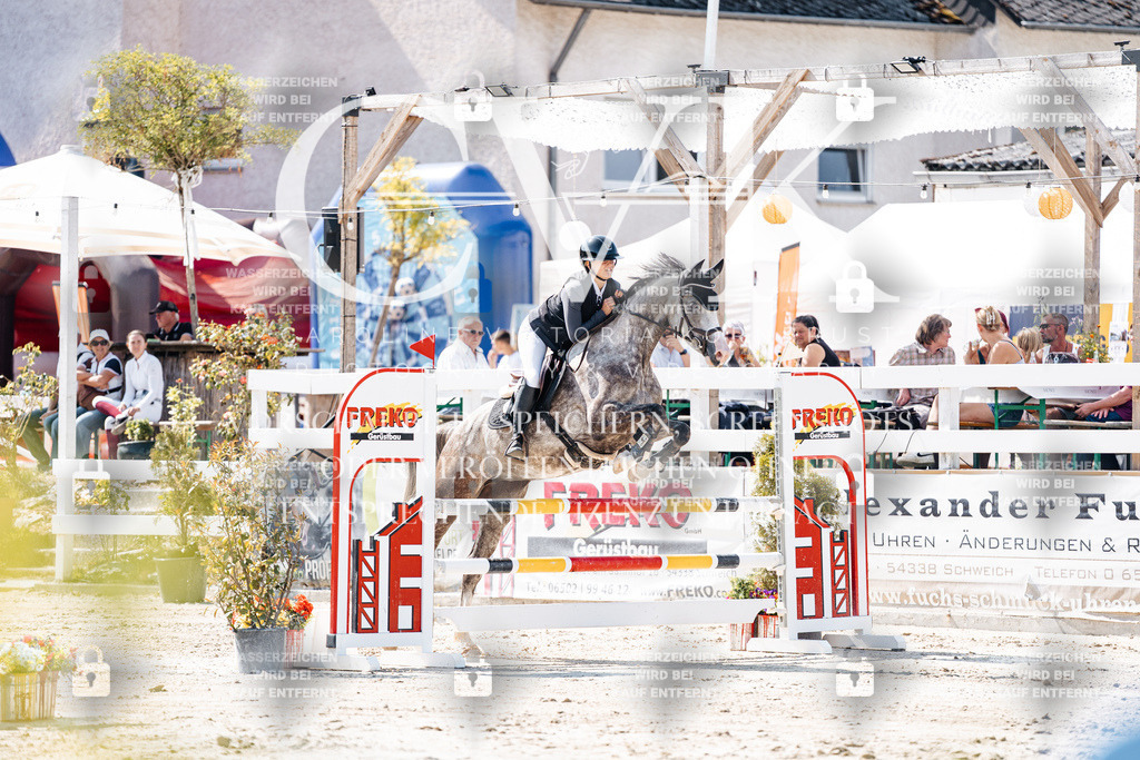 CK908561 | Turnierfotografie Pferdefotografie Trier Rheinland-Pfalz Pferdesport Reitsport Tierfotografie Sportfotografie Pferdevideo Pferdevideografie Equestrianvideography equestrianphotography  - Realisiert mit Pictrs.com