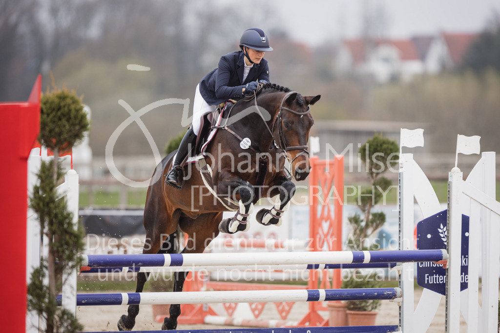 230408_Frühlingsfest_Stil-A2_LK3-4-727 | Deine schönsten Turniermomente als professionelle Fotos! Entdecke hochwertige Pferdesport-Fotografie im Online-Shop. Jetzt Fotos finden & bestellen!