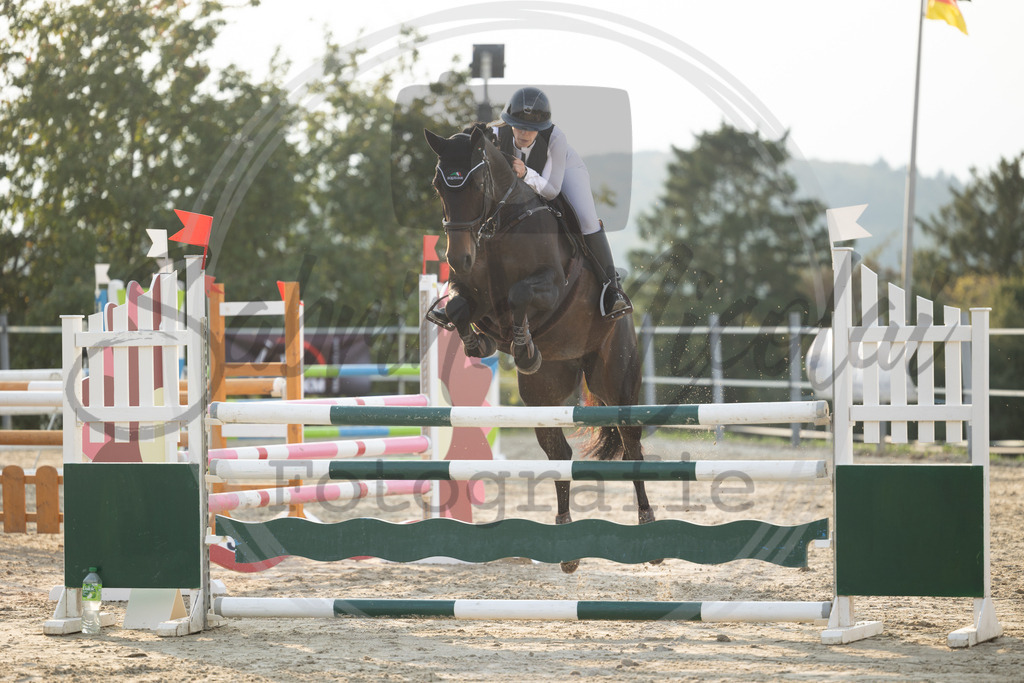 994A2201 | sabrinanicolaifotografie - Realisiert mit Pictrs.com