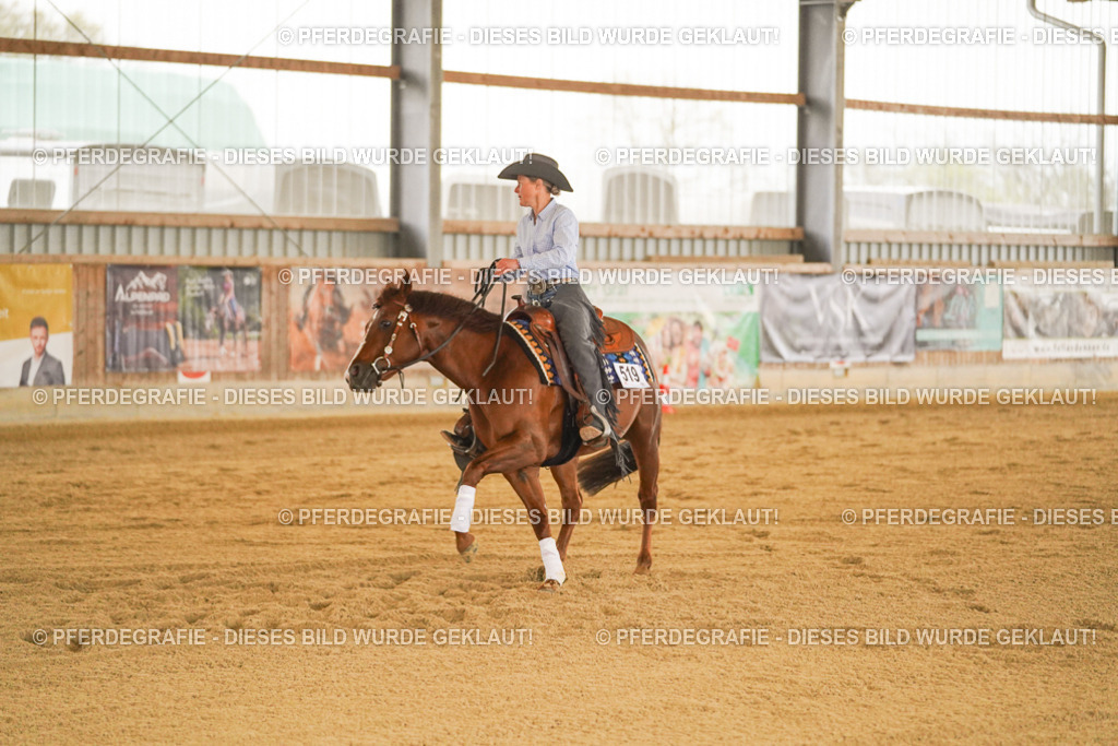 DSC09970 | Pferdegrafie